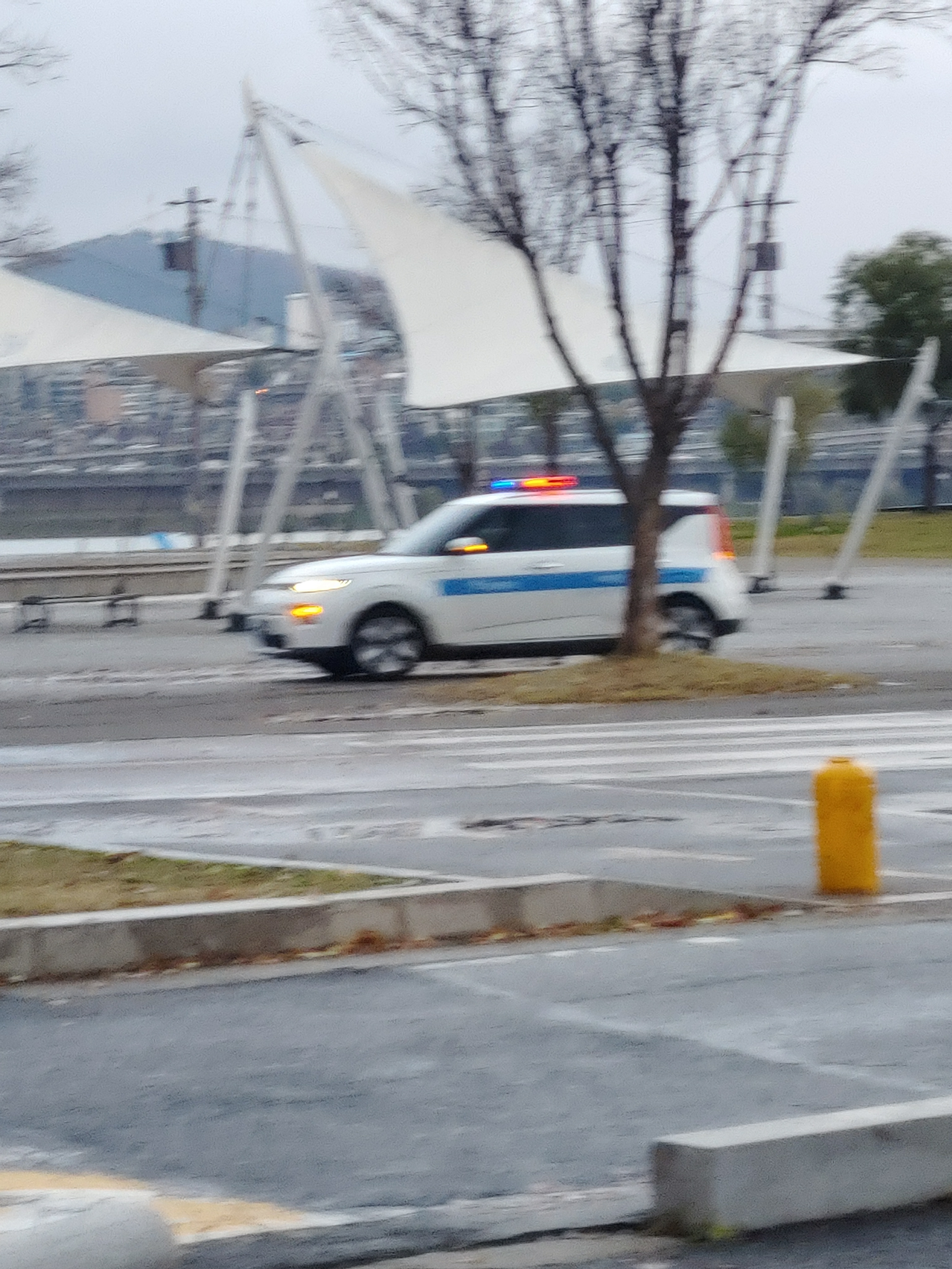 KakaoTalk_20241126_173806507.jpg